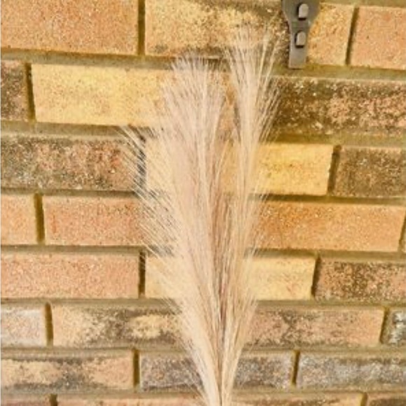 *Pampas Grass Pick, 28”, Bundle of 3 - Picture 2 of 10